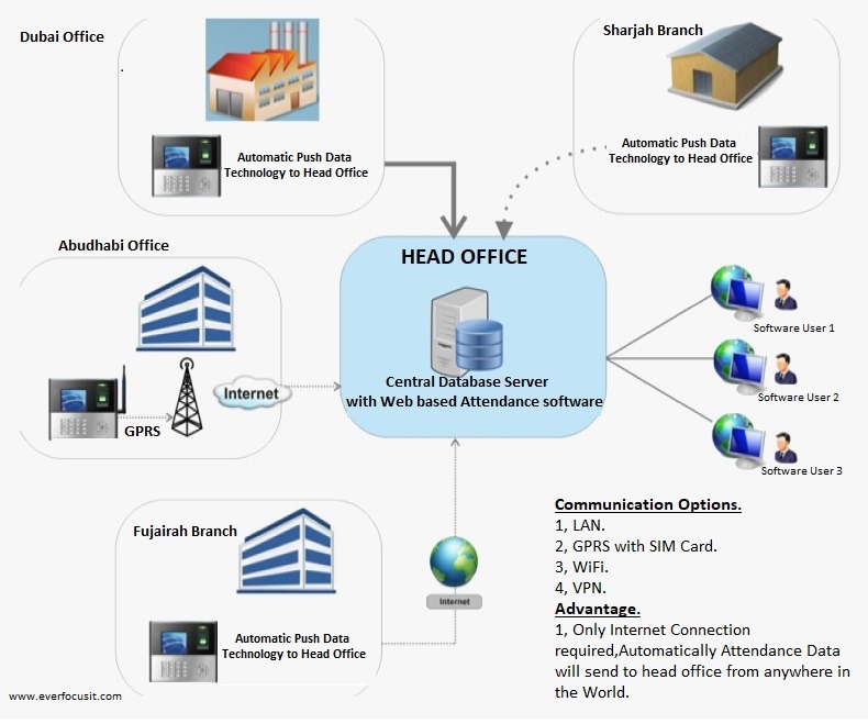 Ever Focus IT Solutions